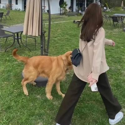 骚人